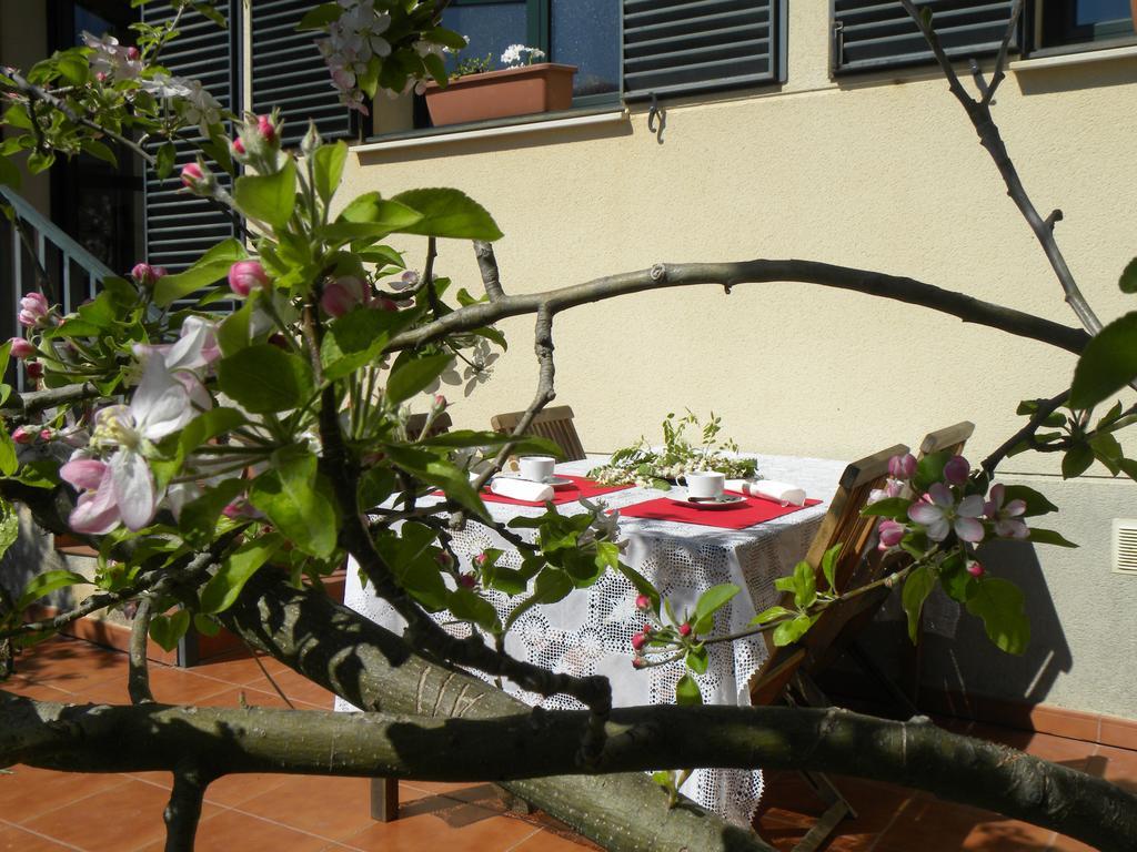 El Jardin De Los Gatos Apartament Caces Kültér fotó