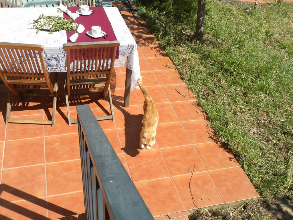 El Jardin De Los Gatos Apartament Caces Kültér fotó